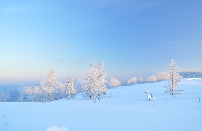 雪乡优化